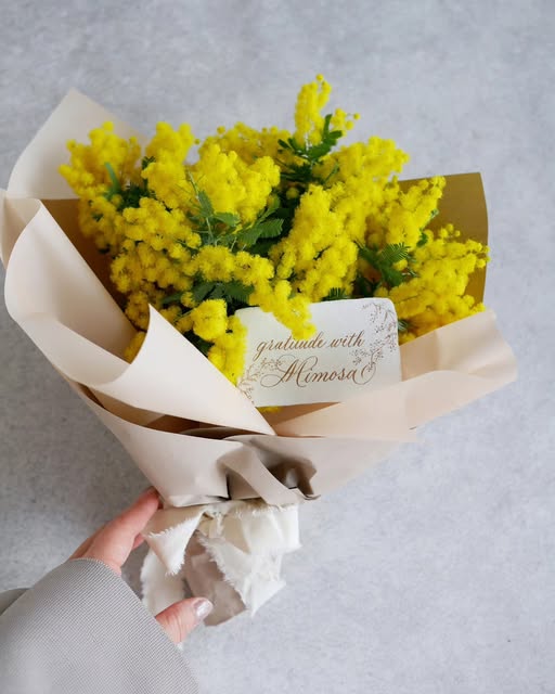 ミモザの花束